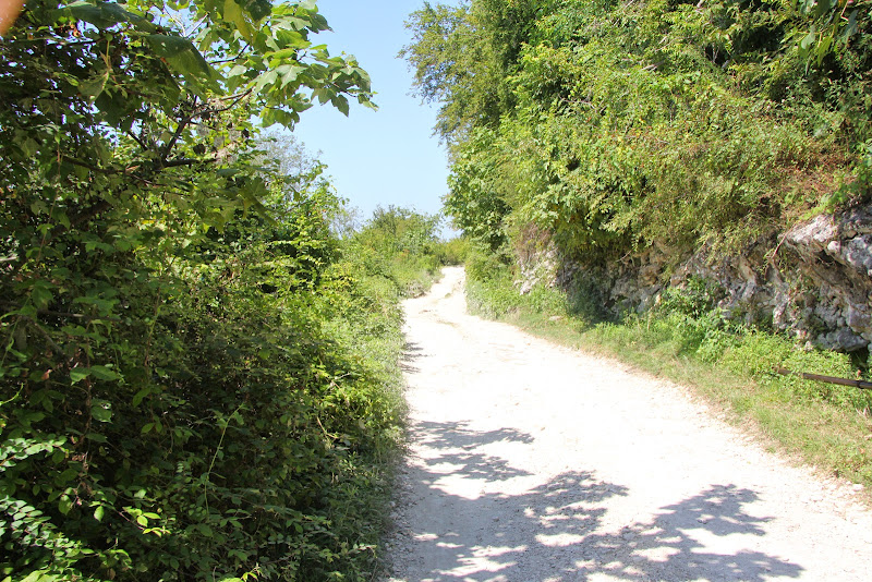 Путешествие в Абхазию, август 2014 г.