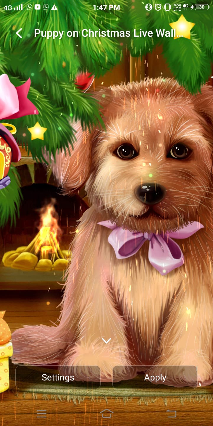 Kerstpuppy Live Wallpaper door Live Wallpapers 3D