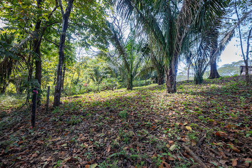 Land 1