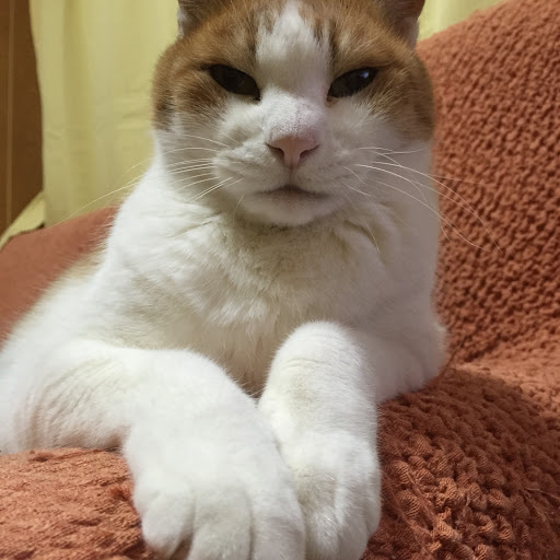 RED のプロフィール画像