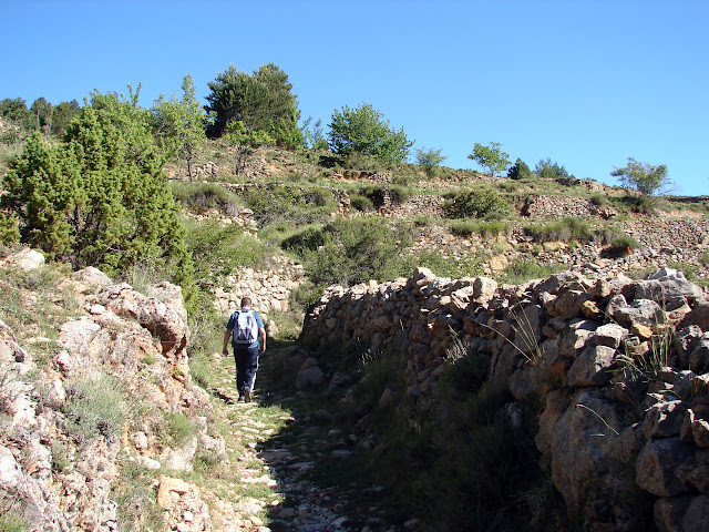 Senderismo - Linares de Mora - Pistas de esquí - Monegro - Molinete - Pino Escobón