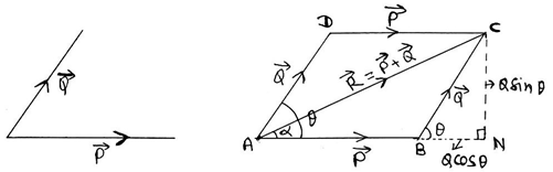 Vectors Class 11 Physics | Notes