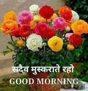 Hindi Good Morning Images 2023 Hindi Good Morning Images