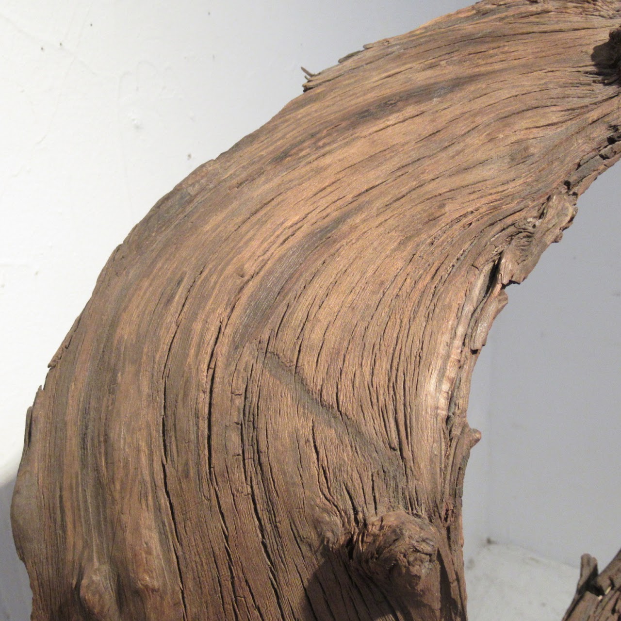 Large-Scale Driftwood Assemblage