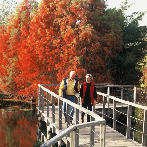 Penshurst Wetland Gardens