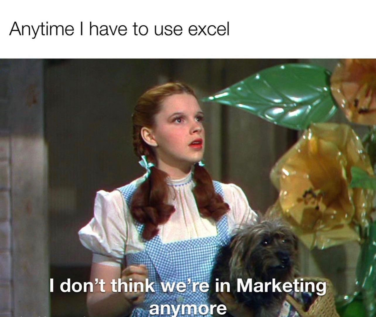 A scene from the movie "The Wizard of Oz" with overlay text saying, "Anytime I have to use excel.'