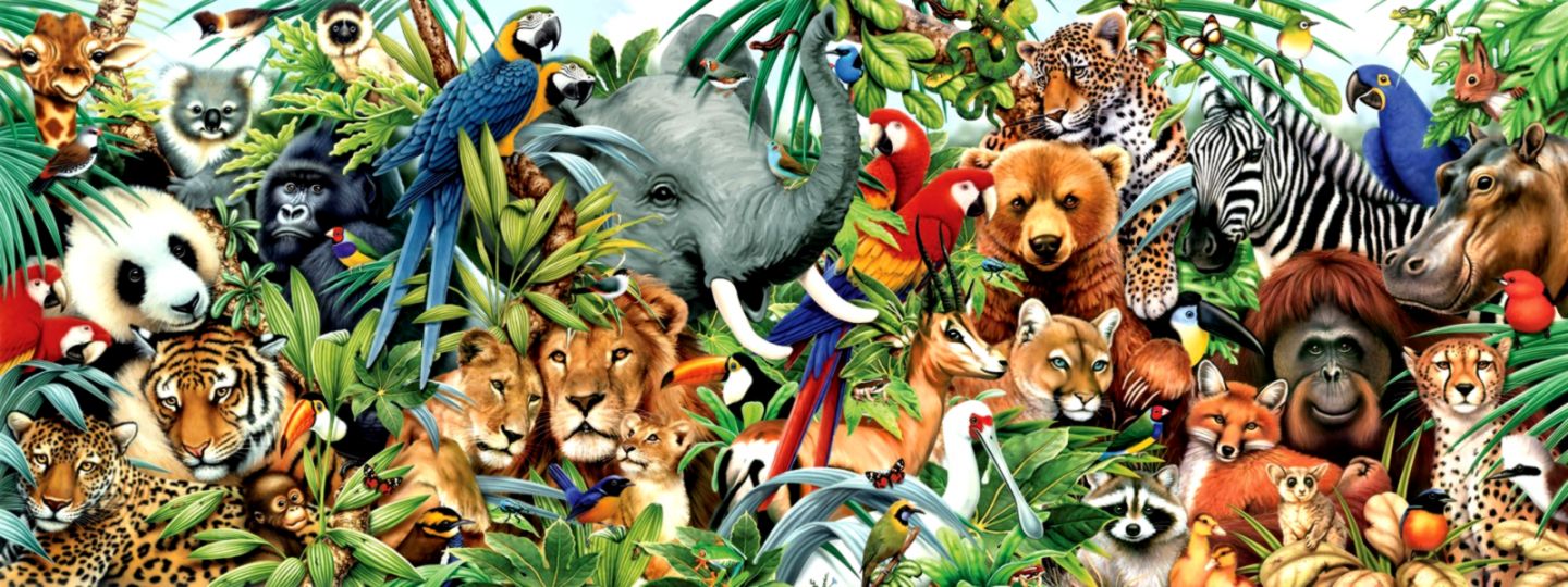 jungle-animal-wallpaper-wallpapersafari.jpg