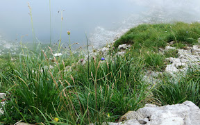 Laufbichlsee Aufstieg zum Daumen Hinterstein Allgäu