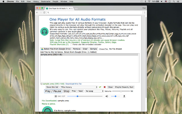 One Player for All Audio Formats chrome extension