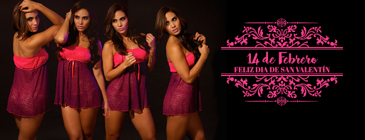 Camila Intimates, Doroteo Arango 101, Bulevares 2da Secc, 20288 Aguascalientes, Ags., México, Tienda de lencería | AGS