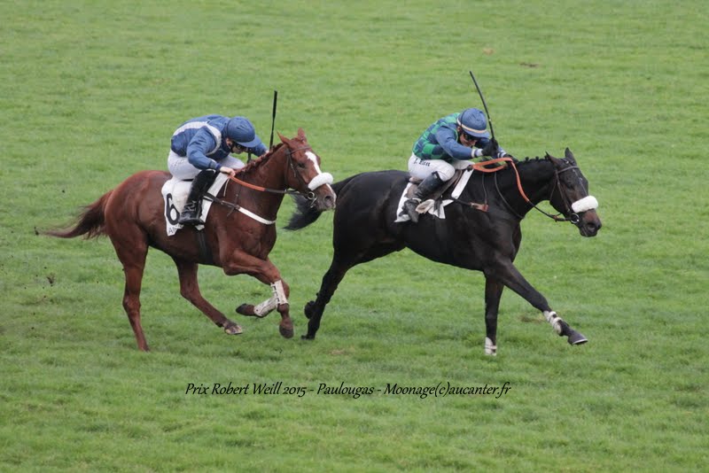 Photos Auteuil 7-11-2015 (48h de l'obstacle) - Page 2 IMG_6665