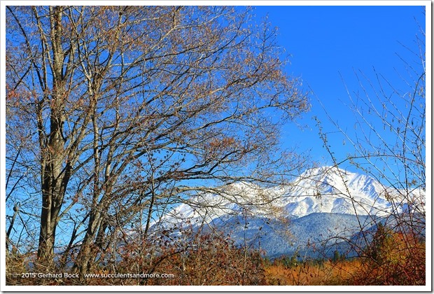 151126_MtShasta_0022