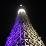 the Tokyo SkyTree by night in Roppongi, Japan 