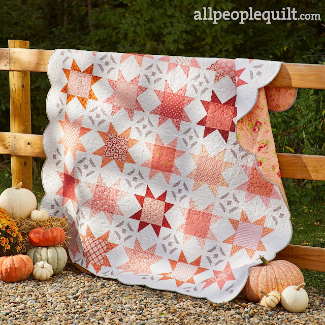 Fall's Finery quilt by Andy of A Bright Corner