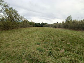 terrain à Pruniers-en-Sologne (41)