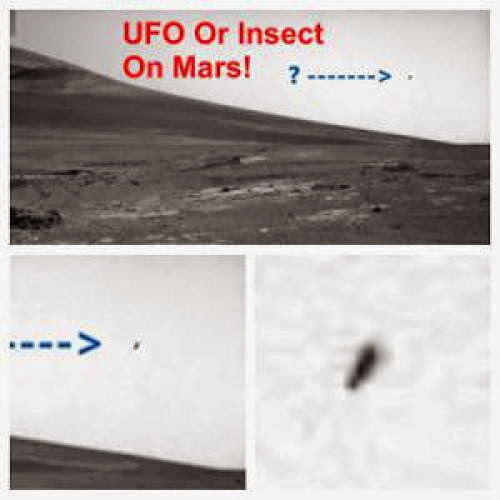 Rover Photo Captures Flying Object March 2013