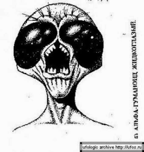 Admiral Byrd Ufo