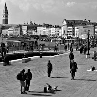 Street in Venice di 