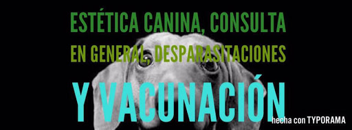 Veterinaria y Estética Canina SPAtitas, Ignacio Zaragoza 211 Local 4, Centro, 67480 Cadereyta de Jimenez, N.L., México, Peluquero de mascotas | NL