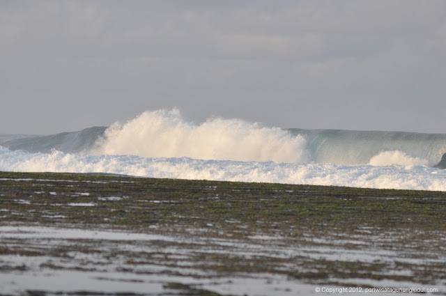 Foto-foto Pantai Wediombo, Girisubo, Gunungkidul Image00272