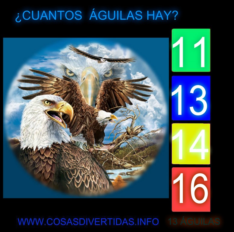 [agulas%5B3%5D]