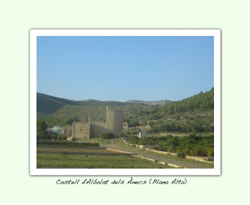Fotografia de l'Església d'Albalat