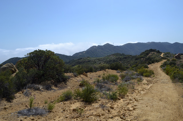 road following the turns of the mountain range