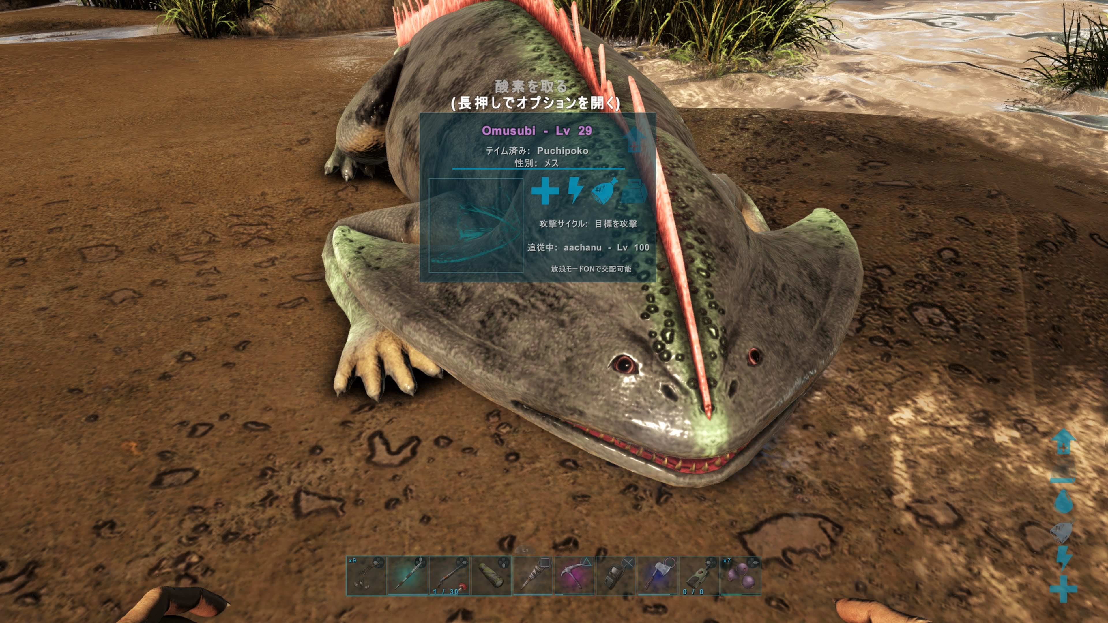 Survival Evolved 沼と川を巡り始祖鳥にぶら下がる Ark Survival Evolved