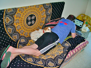 Trouble #4 with Berlin the dog