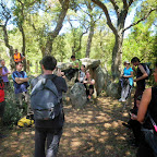 Dolmen del Mas Bousarenys.