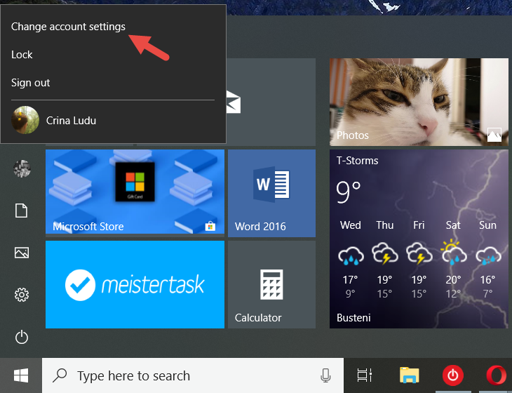 Windows 10, 사용자 암호
