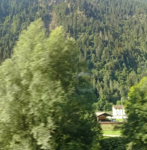 Emanuel Moya Phone Number, Address, Age, Contact Info, Public Records ᐈ