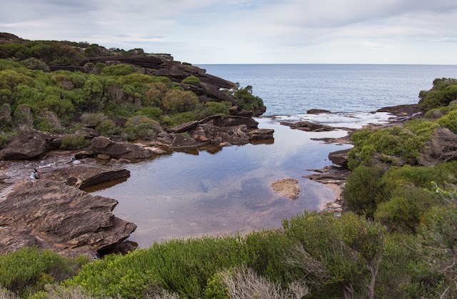 Royal National Park