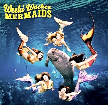 Weeki Wachee Mermaids