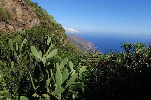 4 días en El Hierro (Canarias). Una isla vertiginosa y espectacular. 1ª parte. - De viaje por España (11)