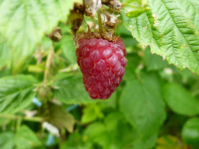 P1000539.JPG