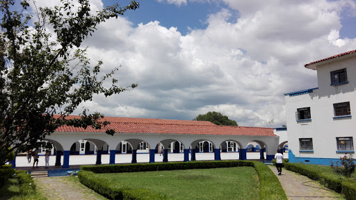 Patio De Honor, 56235, Periférico 6, Universidad Autonoma de Chapingo, Texcoco de Mora, Méx., México, Actividades recreativas | Texcoco de Mora