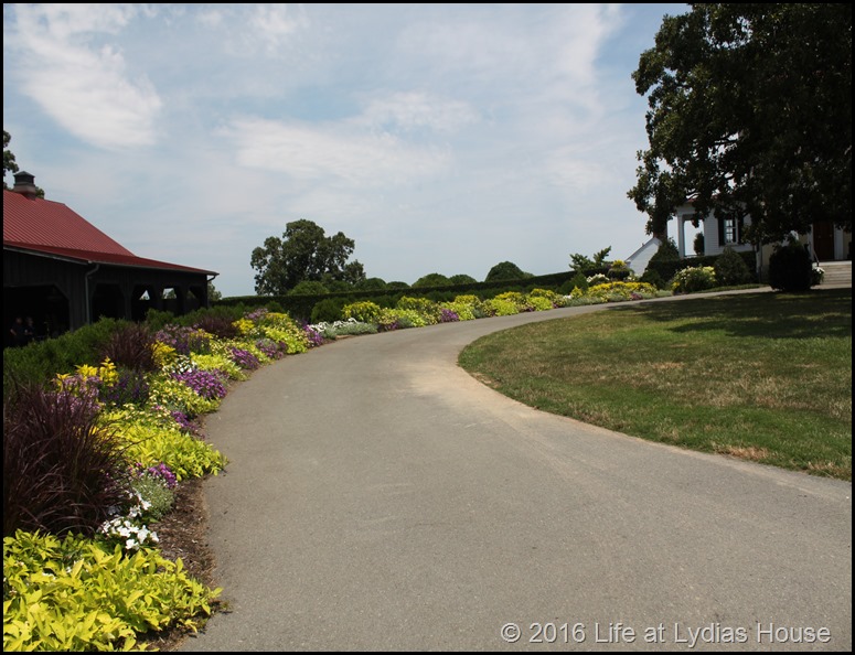 driveway border 5