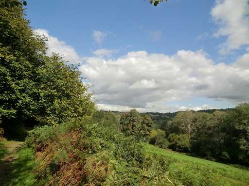 CIMG1942 Along a wooded valley