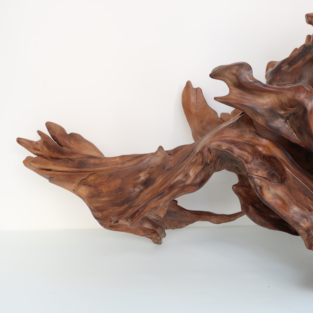 Don B. Signed Sculptural Driftwood