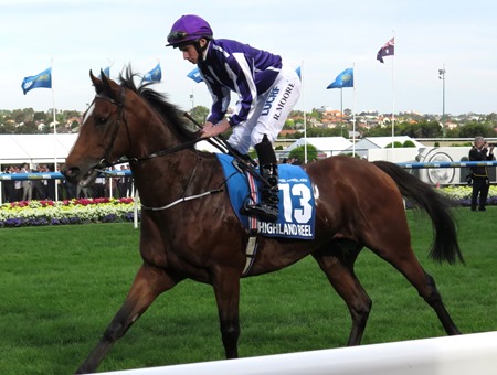 cox plate_highland reel 1