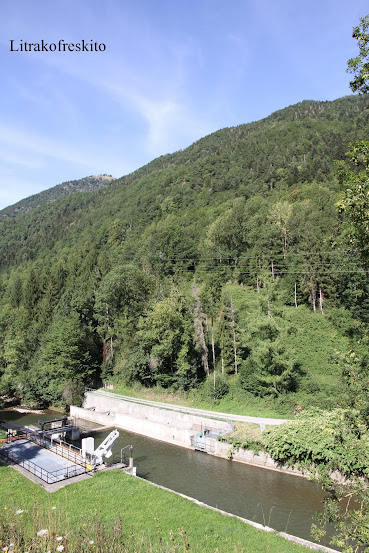 2015 - Paseo por las nubes de los Pirineos 2015 - Página 2 Pirineos%2B2015%2B132