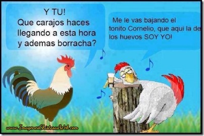 imagen-chistosa-de-una-gallina-borracha