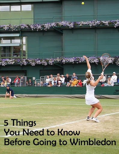 5 Things You Need to Know Before Going to Wimbledon