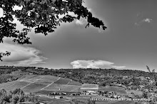 3 maggio 2014 Grana, Alfiano Natta, Grazzano Badoglio, Montachiaro,Montemagno d'Asti - fotografia di Vittorio Ubertone