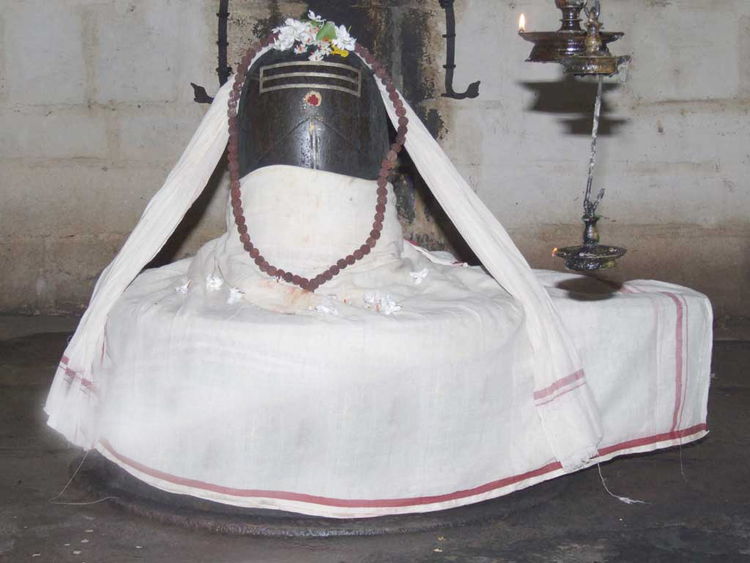 Sri Natrunaiyappar Temple, Thirunanipalli (Ponsei), Mayiladuthurai - 275 Shiva Temples