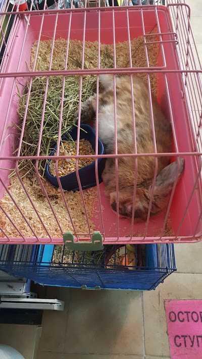 Photos of Zoovetservis