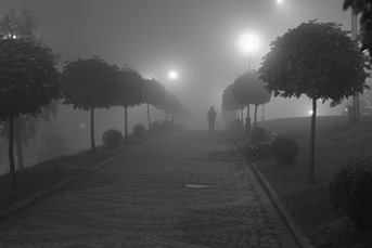 Nebbia