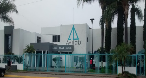 Laboratorios Avilab SA de CV, Porcicultores 80, El Panteón Viejo, 47698 Tepatitlán de Morelos, Jal., México, Veterinario | JAL