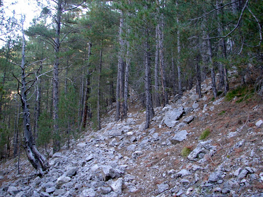 Senderismo: Cañón del río Alcalá - Navas Altas. PR-TE 26 GR-8